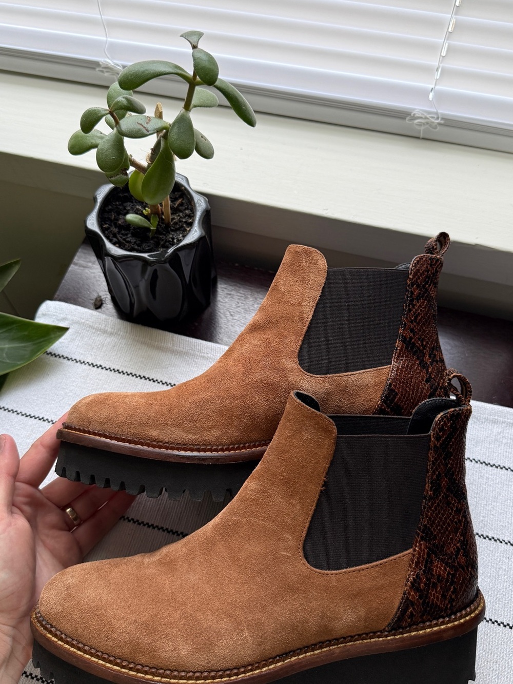Cordani Women’s Chelsea/ Chukka Boots in Cognac Brown with Black Elastic